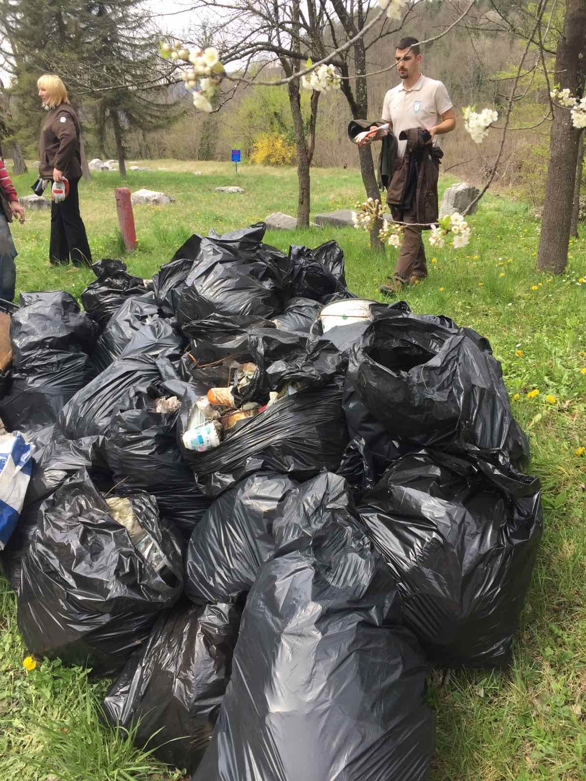 Nacionalni park Tara (4)