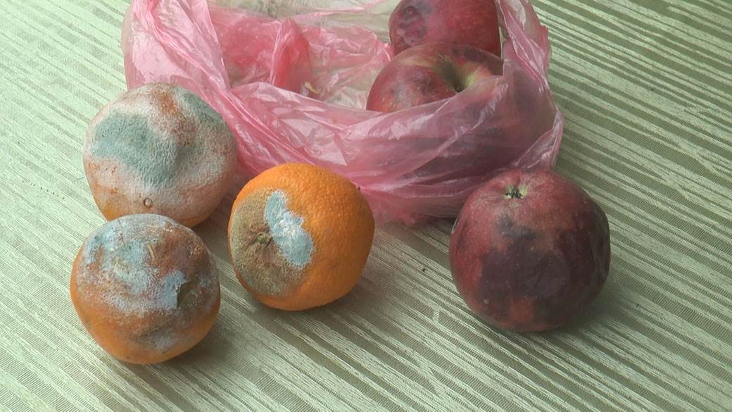 Milutin bajata hrana (3)