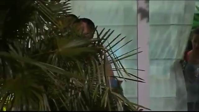 Svadja, tuča, zadruga (27)