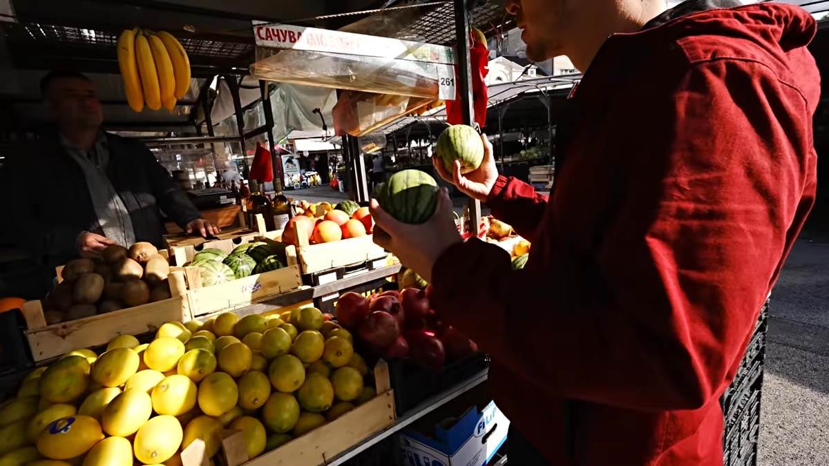 kanađani, Beograd, Utisci (5)