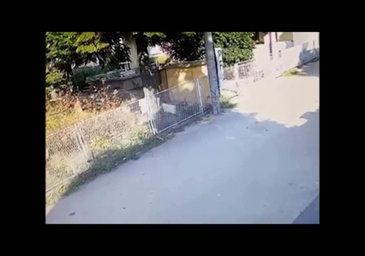 Napad, Beograd, Lopov (8)