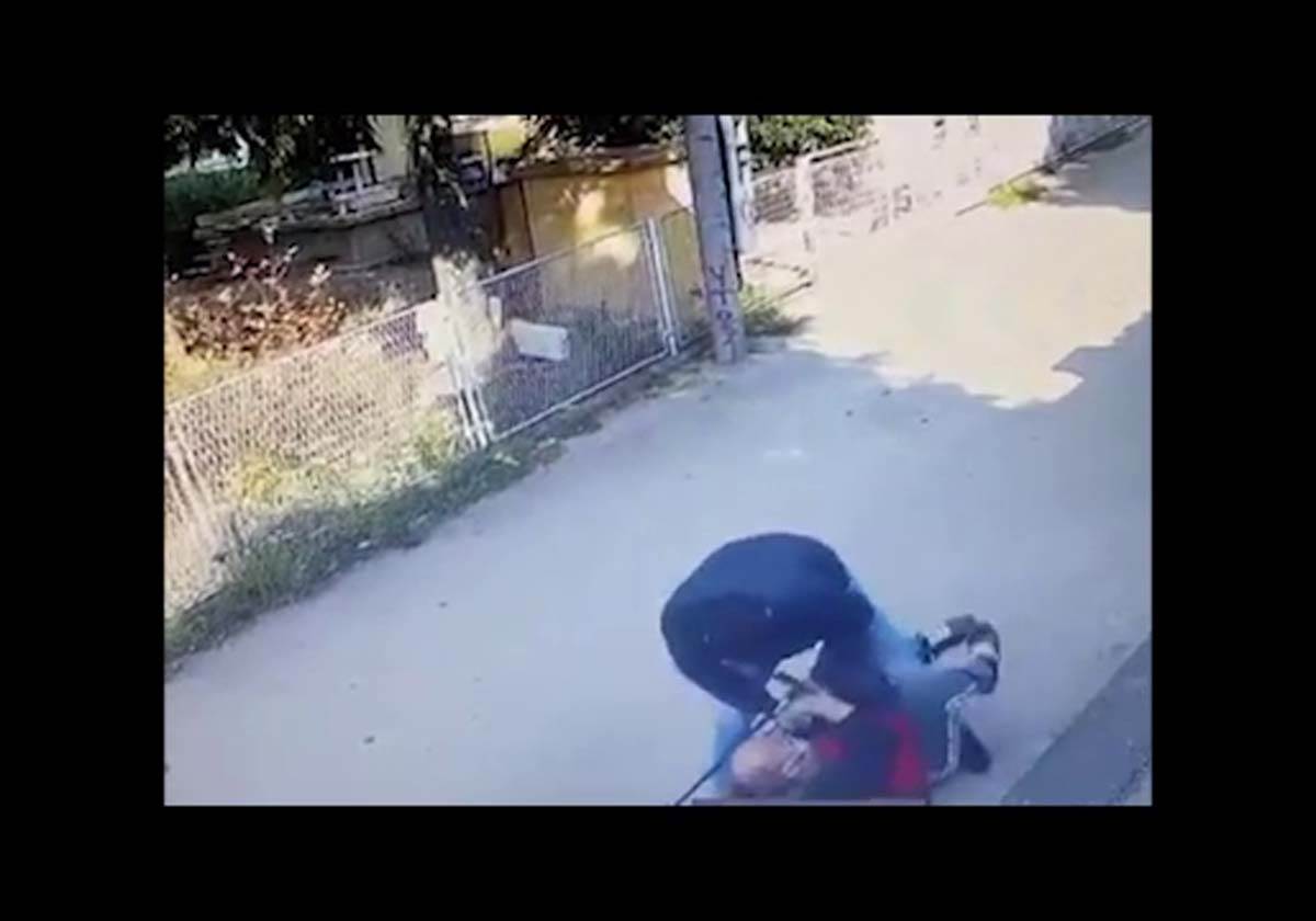 Napad, Beograd, Lopov (11)