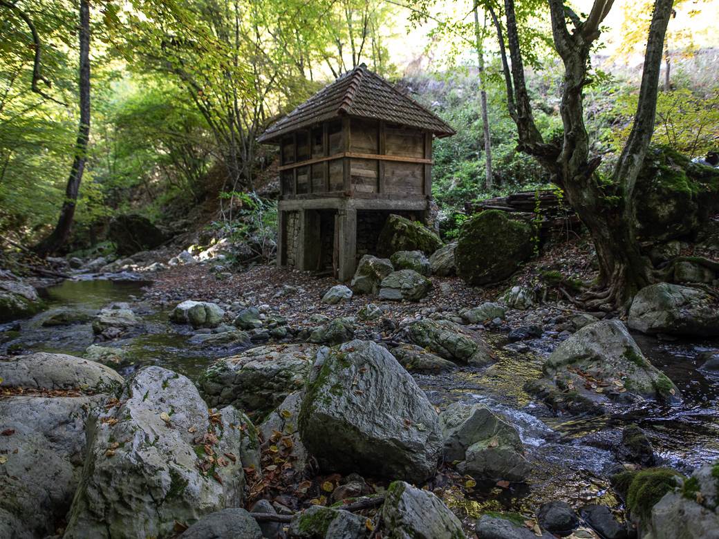 Sava Savanović (6 of 11)