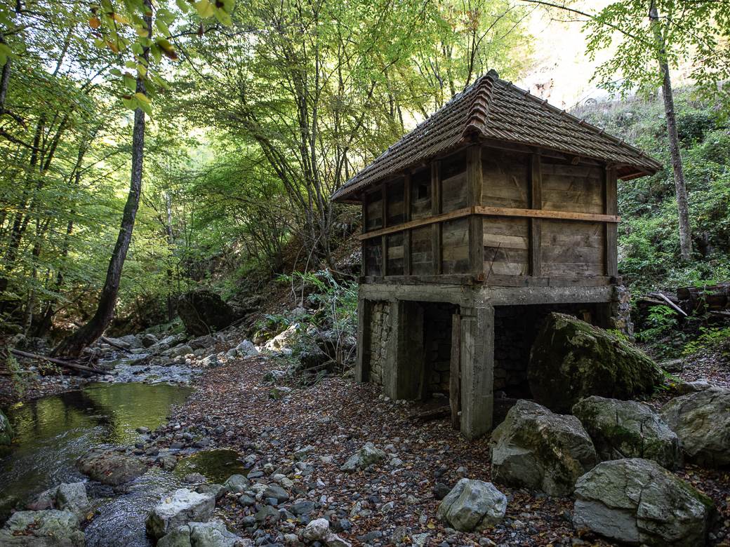 Sava Savanović (7 of 11)