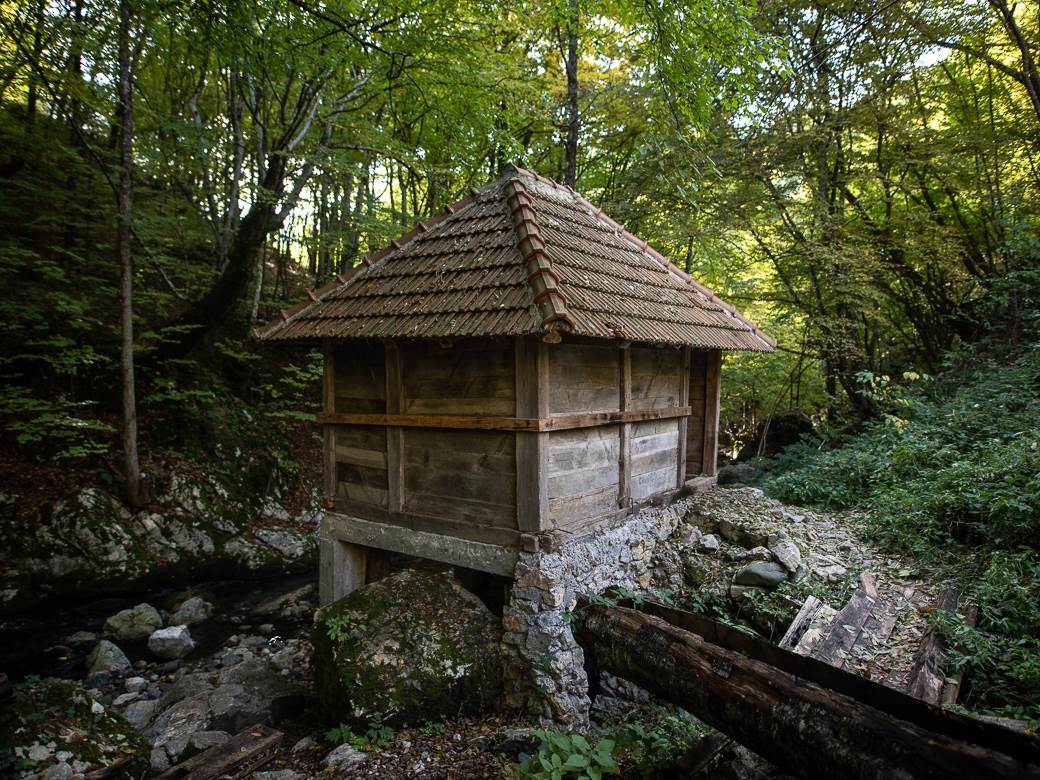 Sava Savanović (8 of 11)