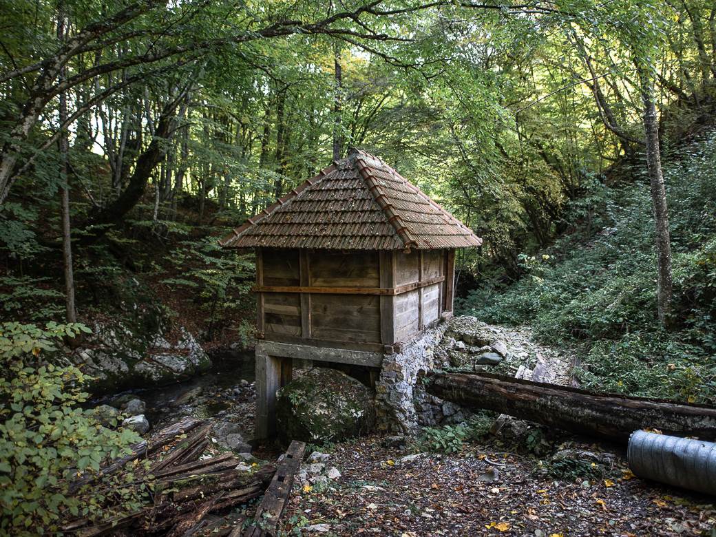 Sava Savanović (10 of 11)