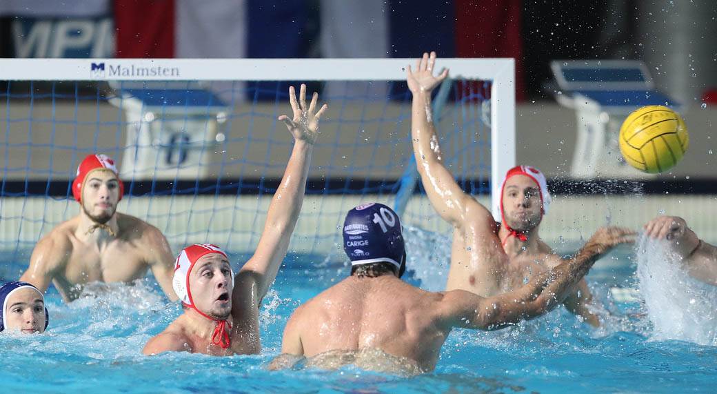 crvena zvezda savona vaterpolo 5