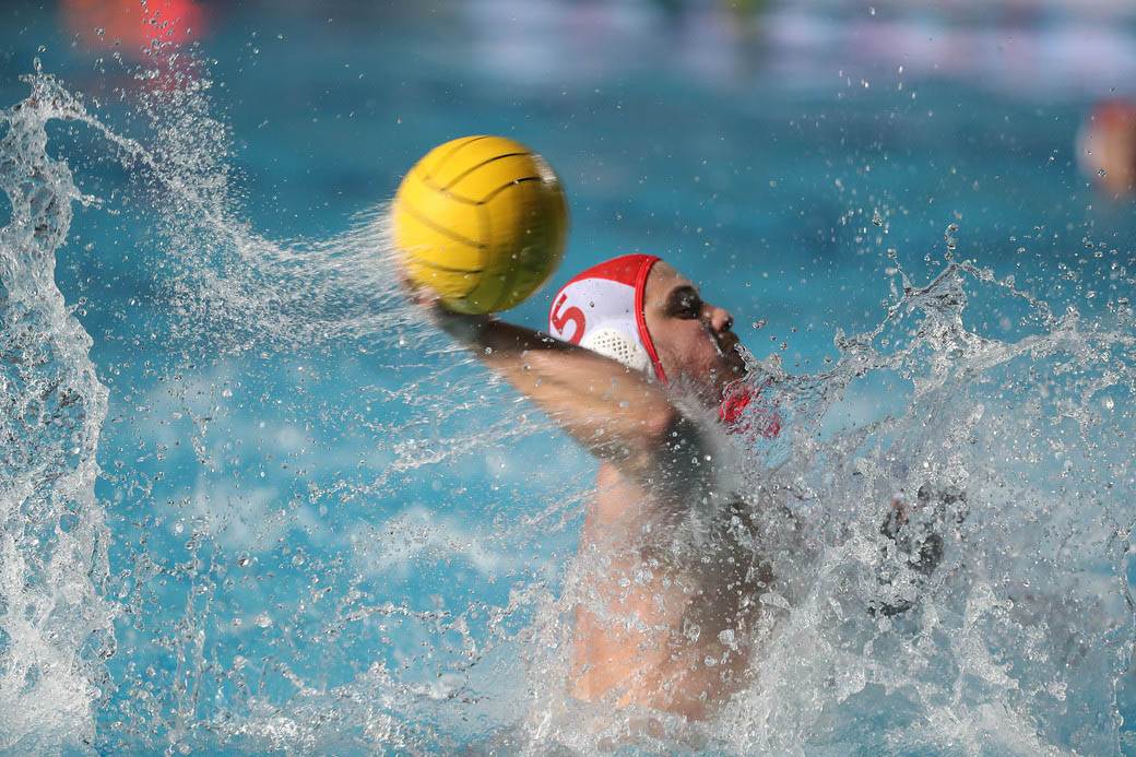 crvena zvezda savona vaterpolo 8