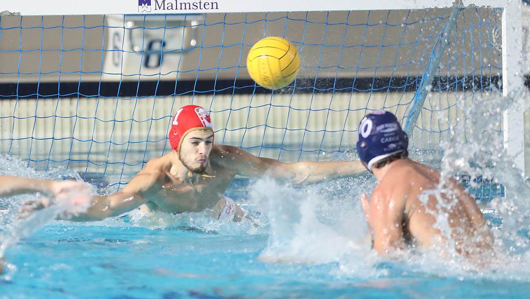crvena zvezda savona vaterpolo 11