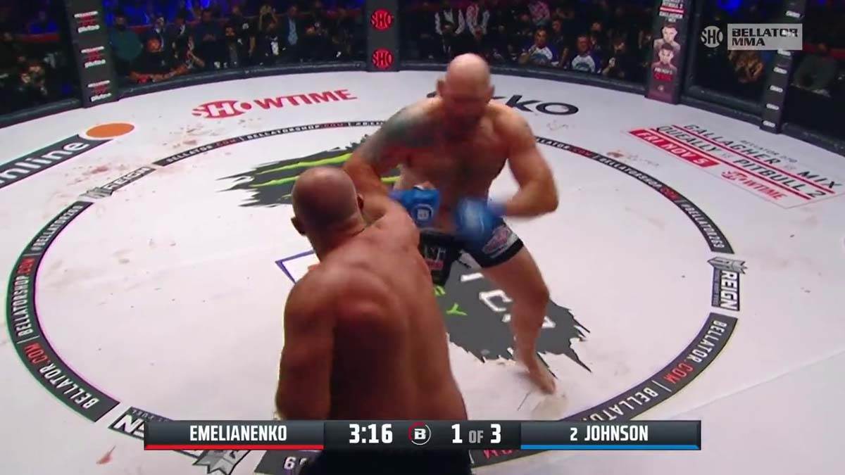 Fedor, MMA, NOkaut (3)