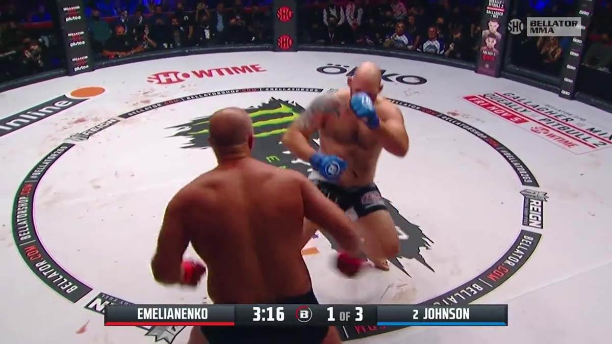 Fedor, MMA, NOkaut (5)