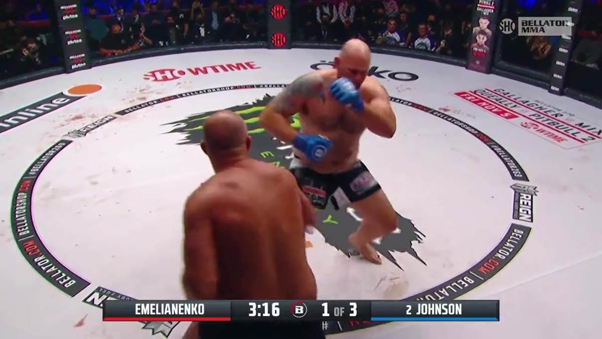 Fedor, MMA, NOkaut (7)