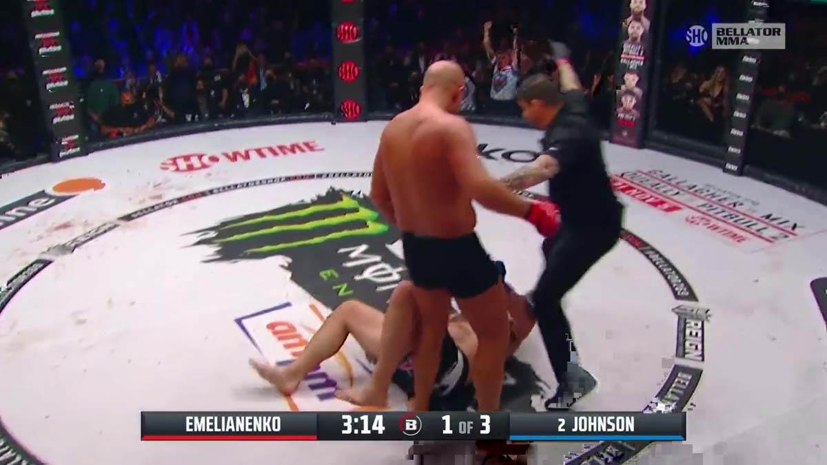 Fedor, MMA, NOkaut (4)