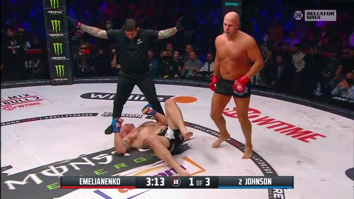 Fedor, MMA, NOkaut (9)