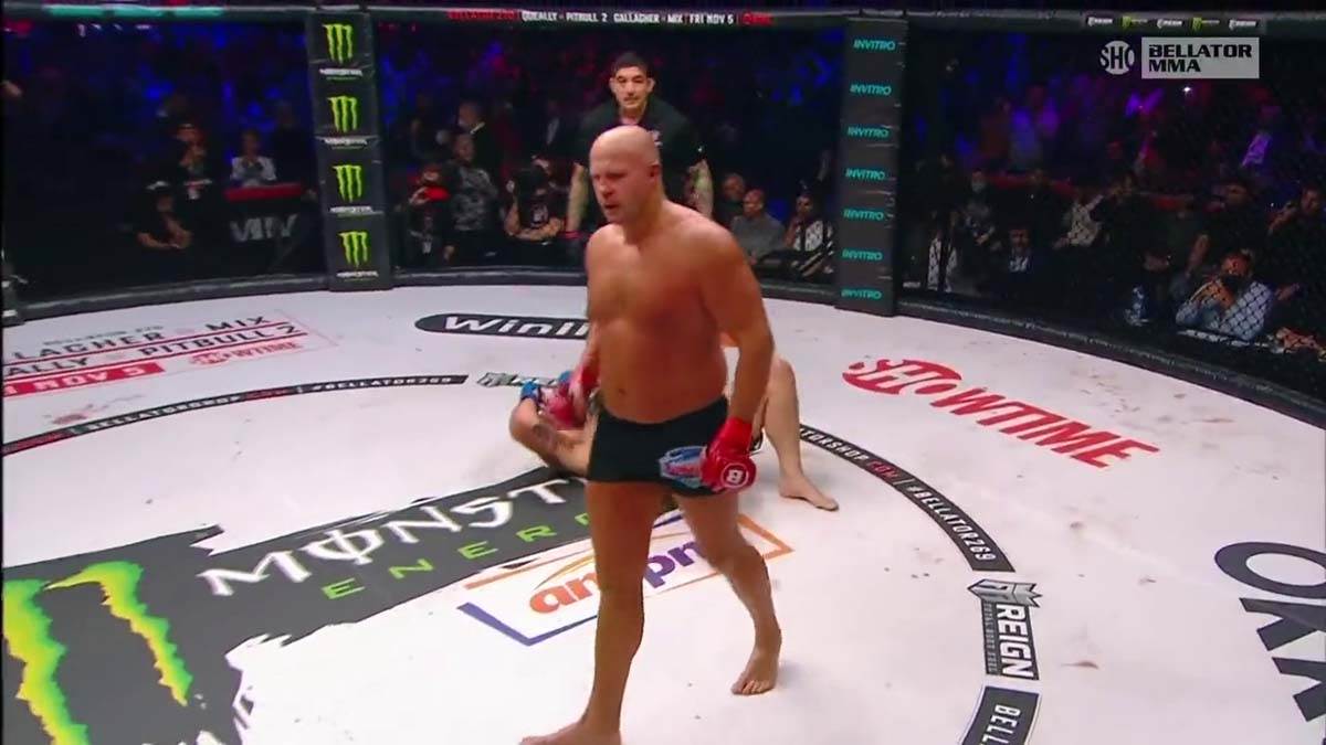 Fedor, MMA, NOkaut (10)