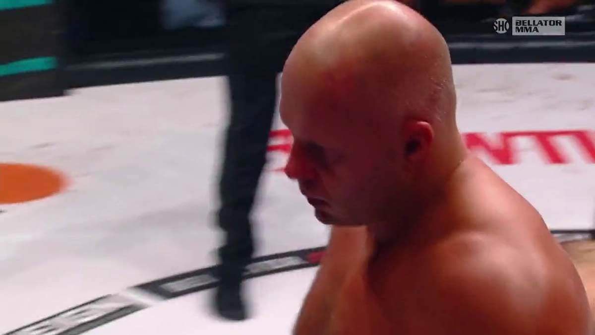 Fedor, MMA, NOkaut (12)