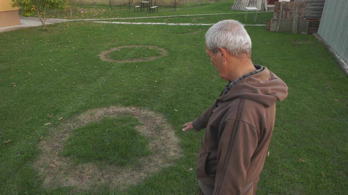 Misteriozni krugovi, Čačak (3)