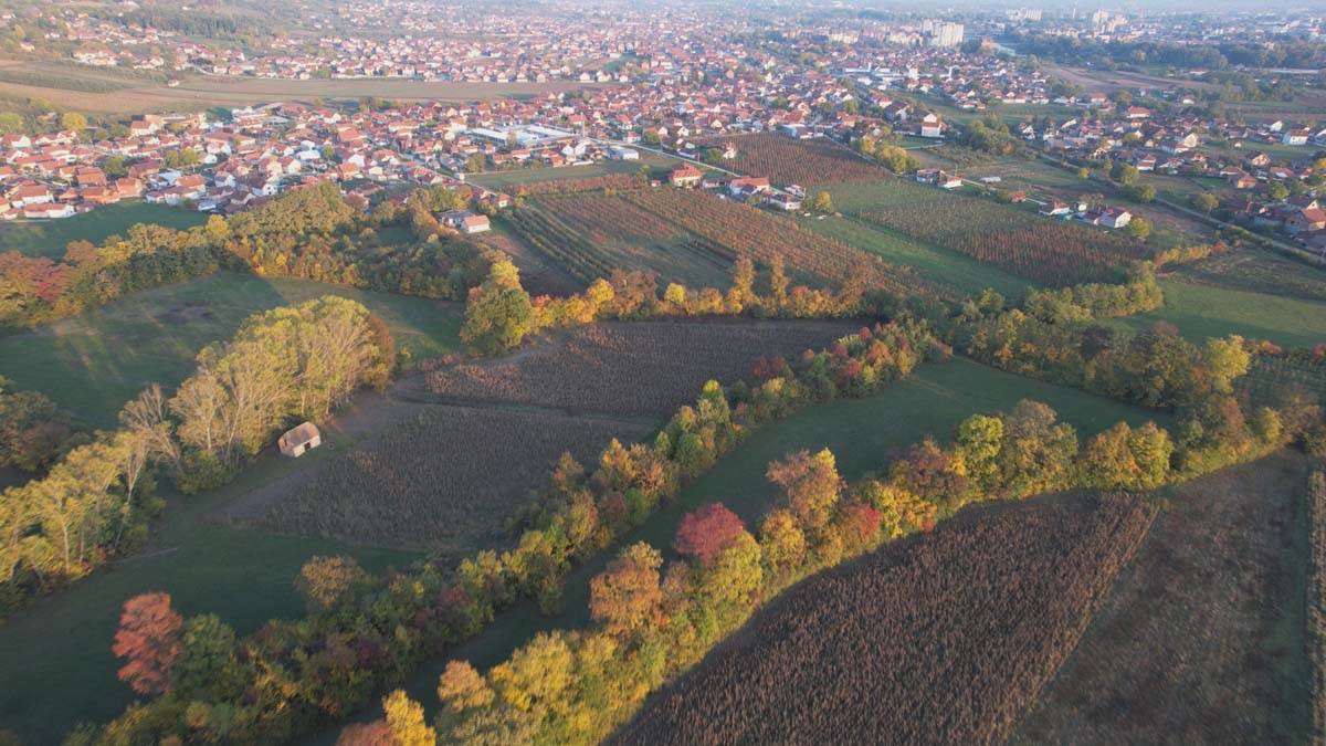 Misteriozni krugovi, Čačak (5)