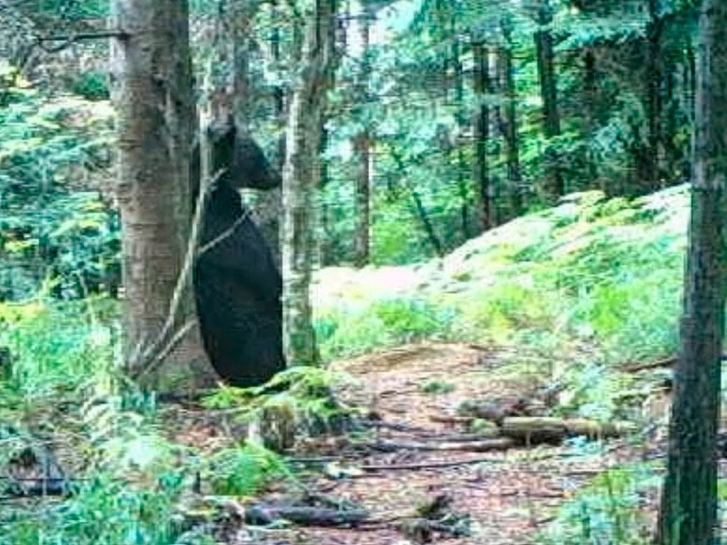 Forbs uvrstio Taru u pet prirodnih lepota na Balkanu