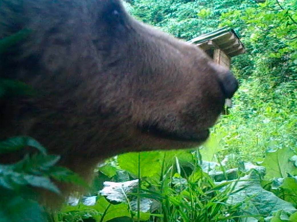 Forbs uvrstio Taru u pet prirodnih lepota na Balkanu