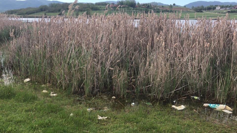 Pokret za uređenje Aleksandrovačkog jezera 8