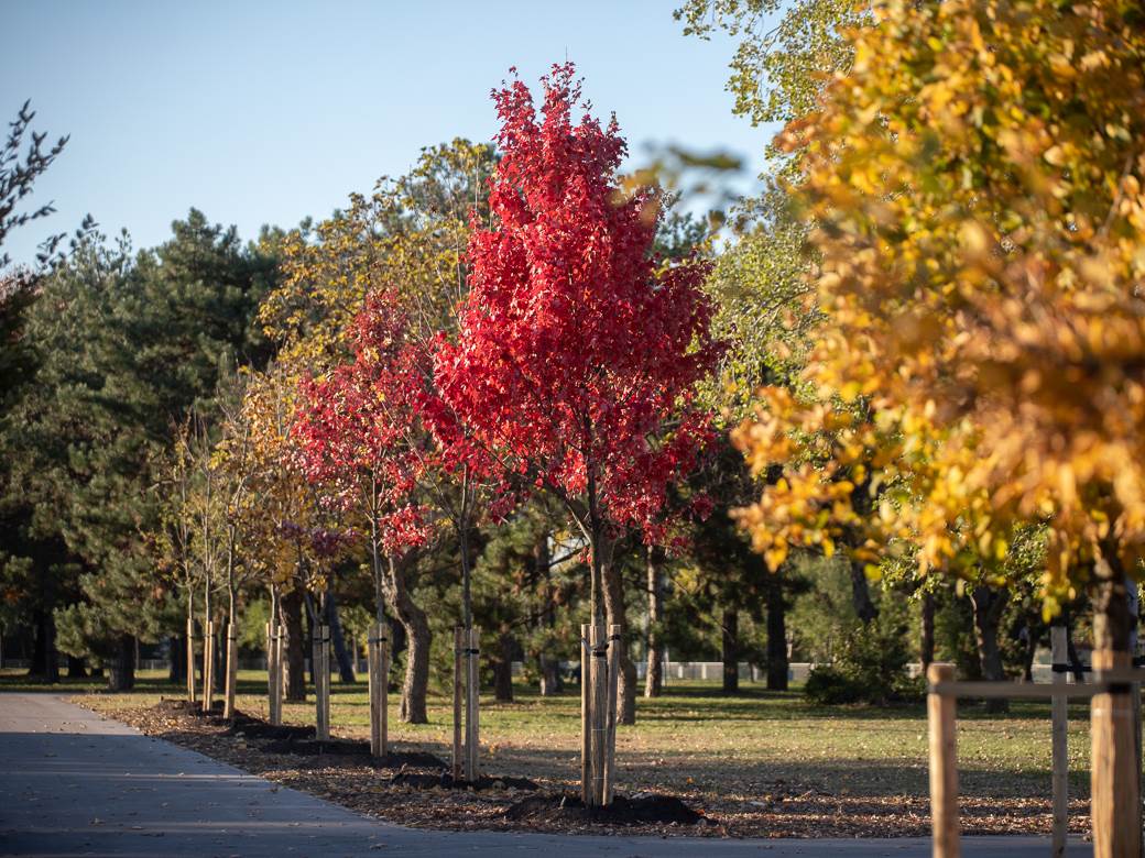 Beograd Instagram-10