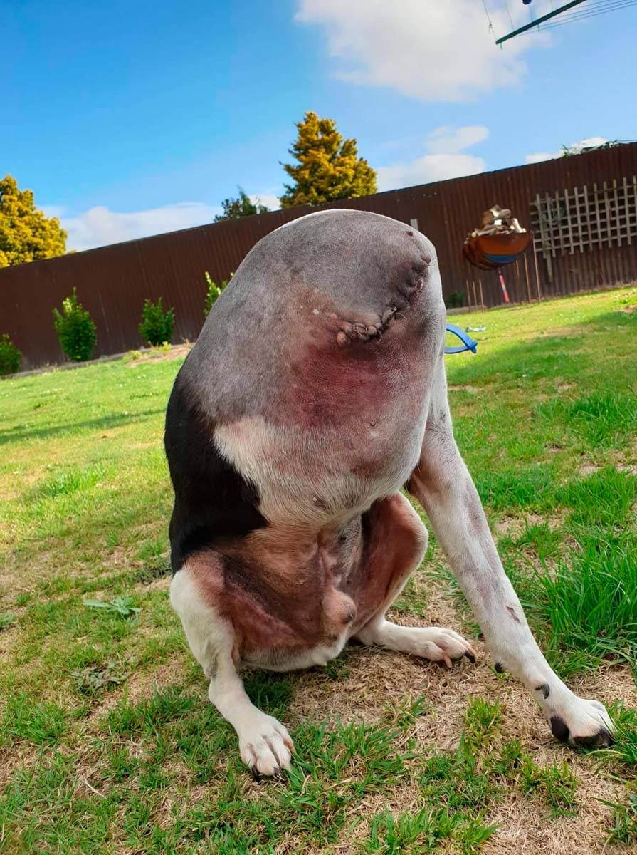 redit čudna slika 3