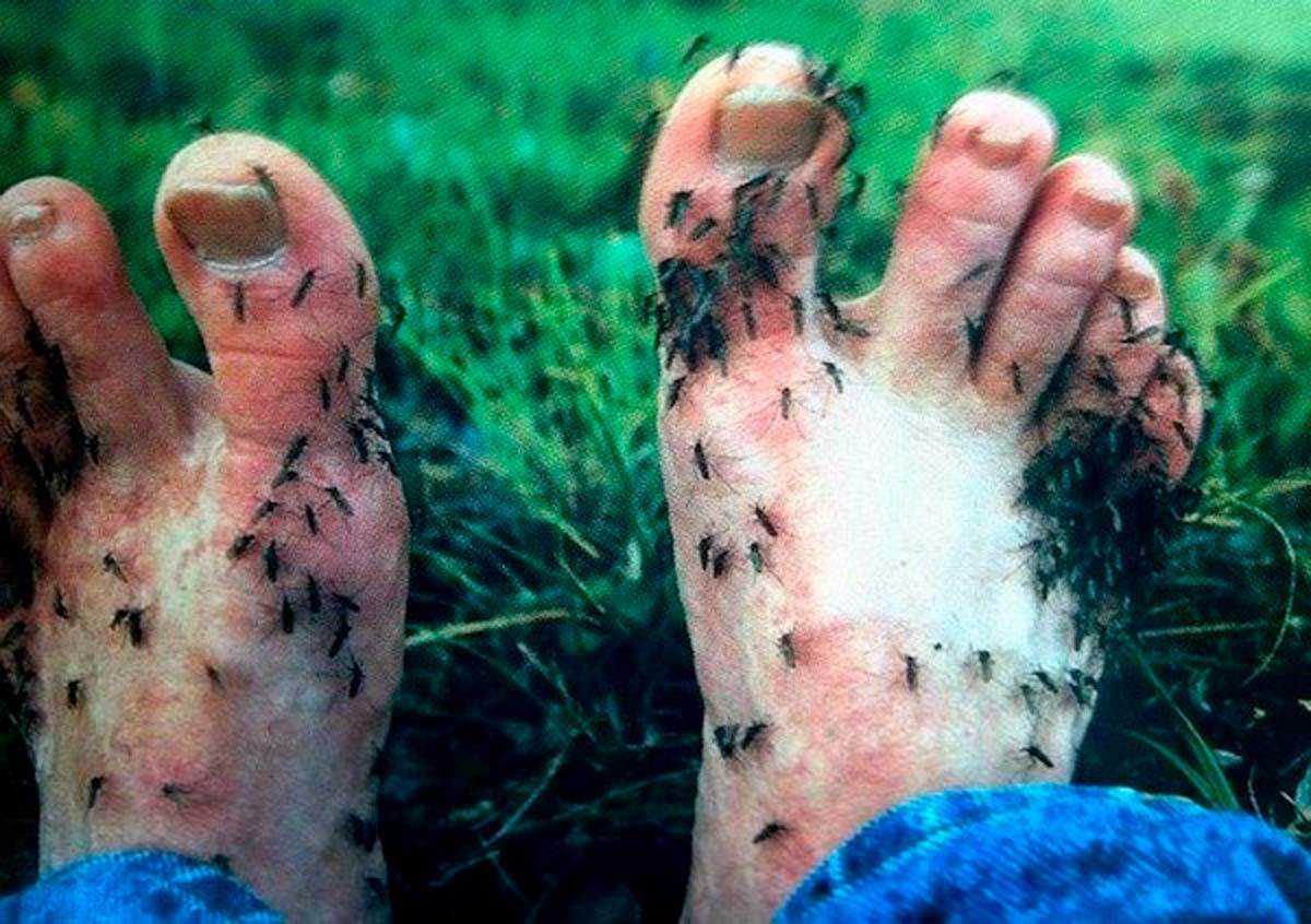 redit čudna slika 11