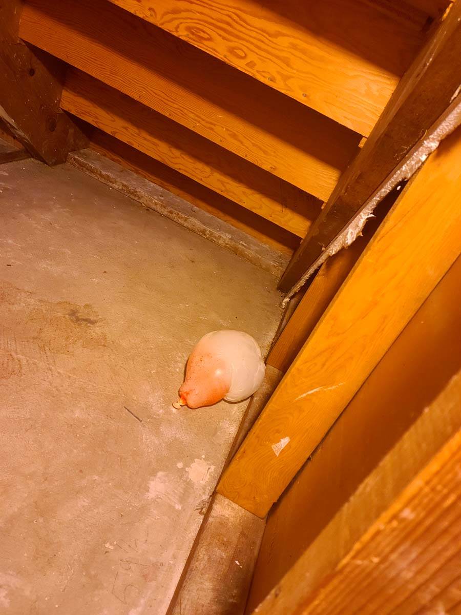 redit čudna slika 16