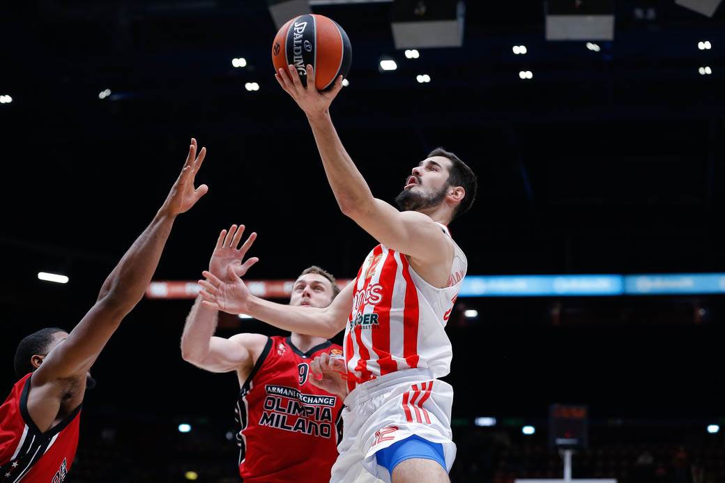 crvena zvezda armani 13