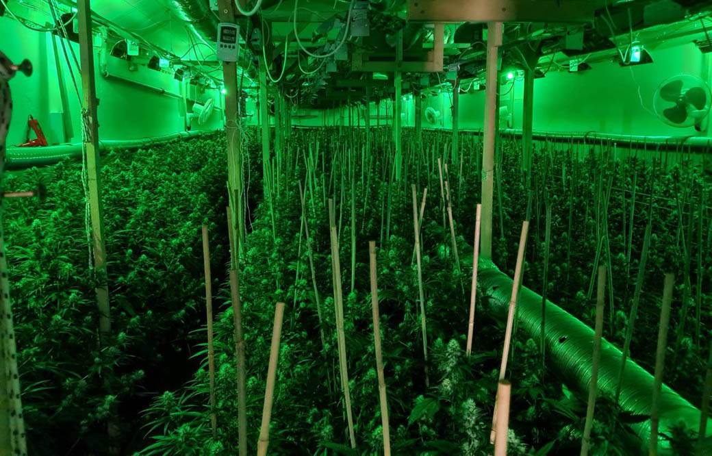 labaratorija za uzgoj marihuane kod uba 3