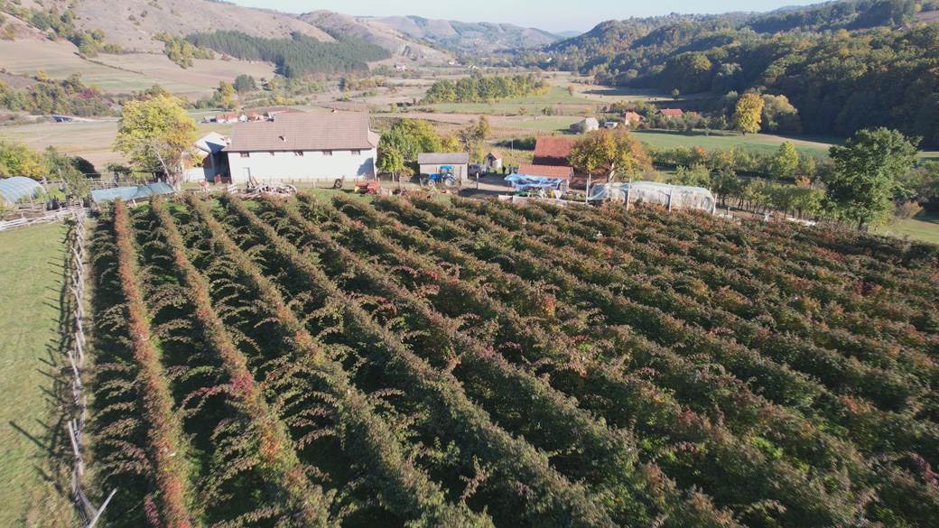 Marko Trnavac (5).jpg