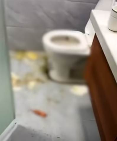 Nered u stanu (4).png