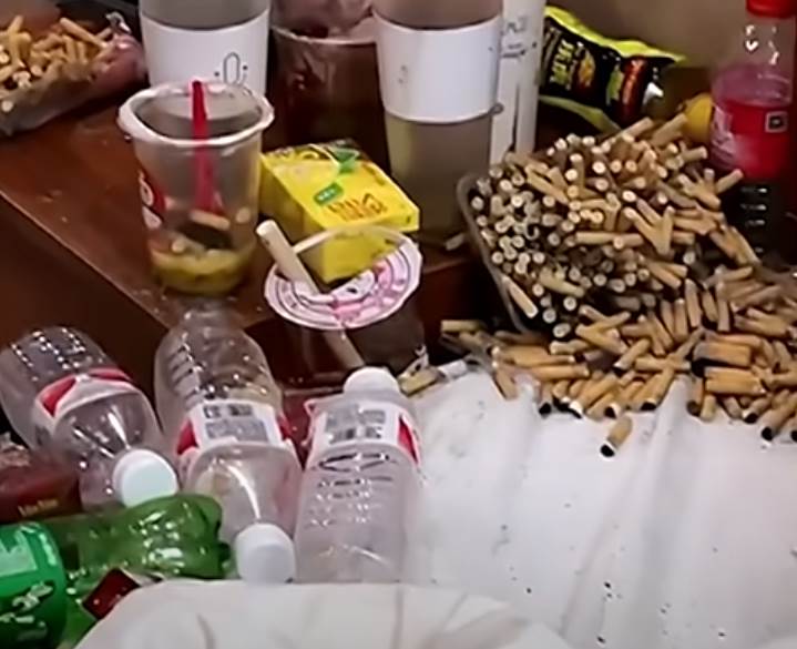 Nered u stanu (1).png