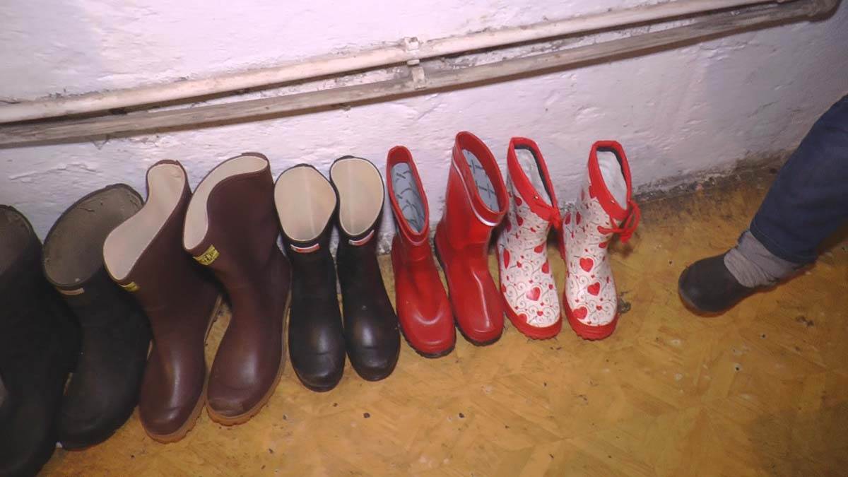 Albanka se za Radomira udala na neviđeno i rodila mu dvoje dece