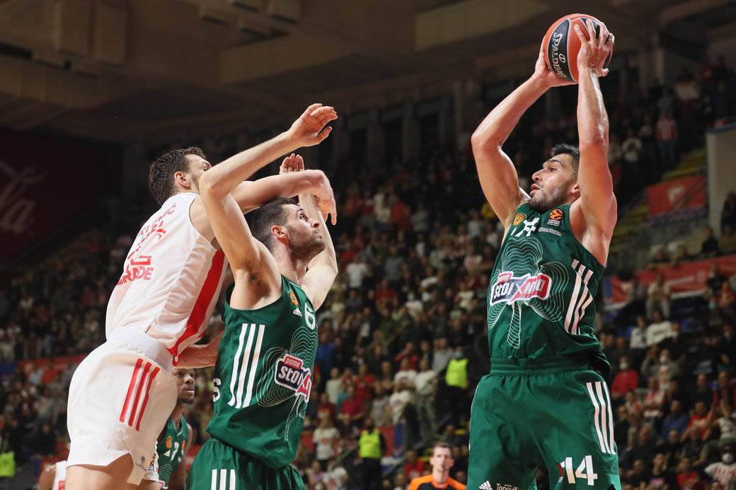 Crvena zvezda Panatinaikos Nejt Volters izjava nakon pobede