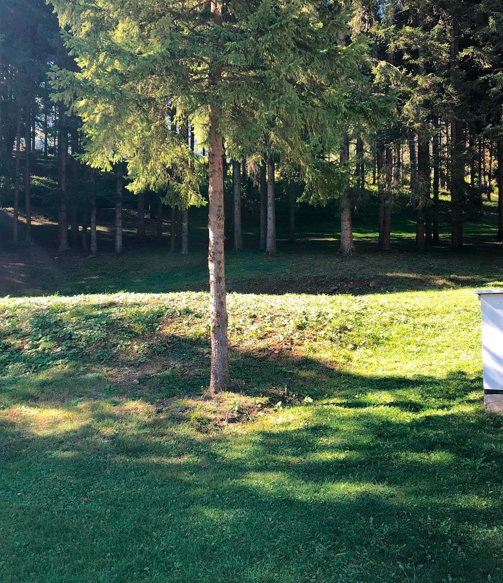 Rokvić Marinko (8).jpg