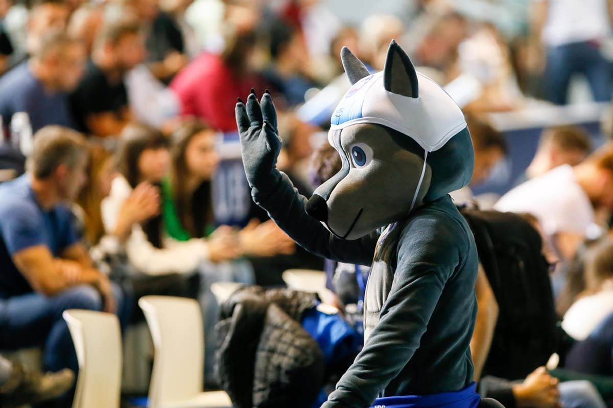 Vaterpolo, Novi Beograd , Olimpijakos (11).jpg