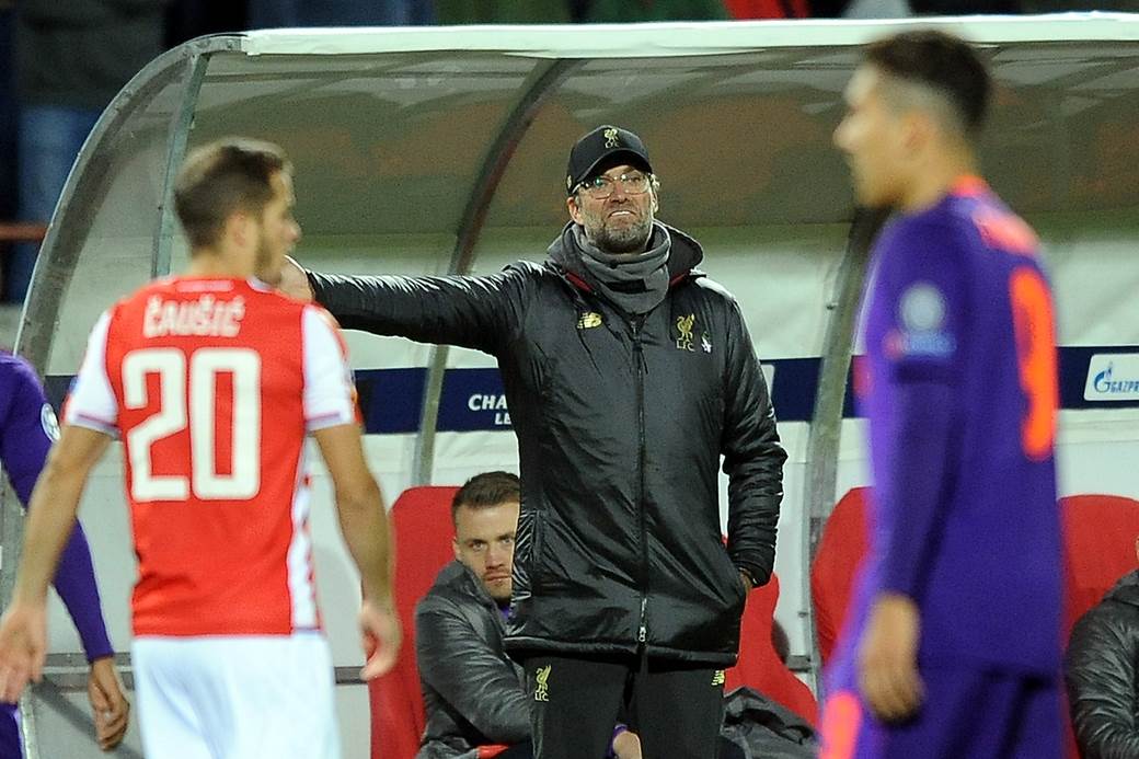 Klop-Natalijina Ramonda (2).jpg