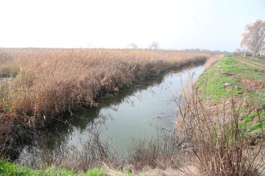 udes kod Vrbovskog puta (5).jpg