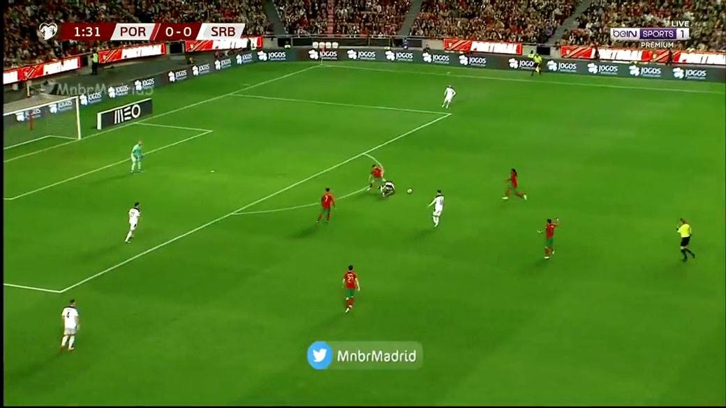 portugal gol protiv Srbije 2.jpg