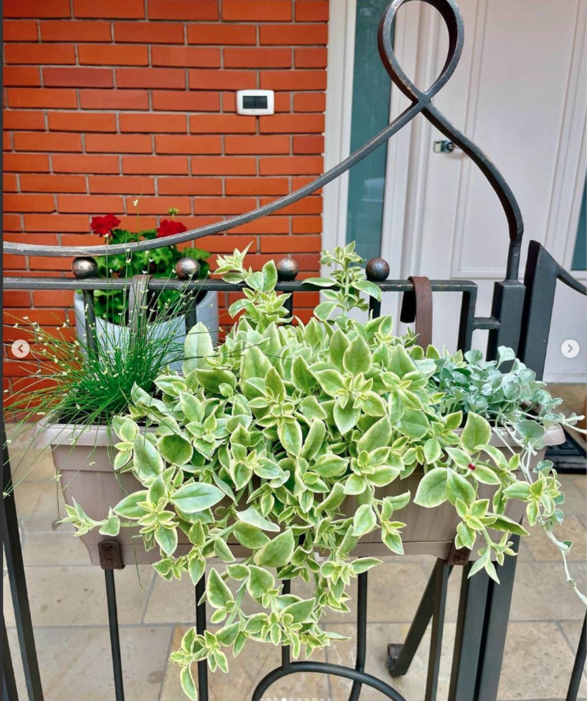 Slavica Rokvić, Marinko Rokvić, kuća