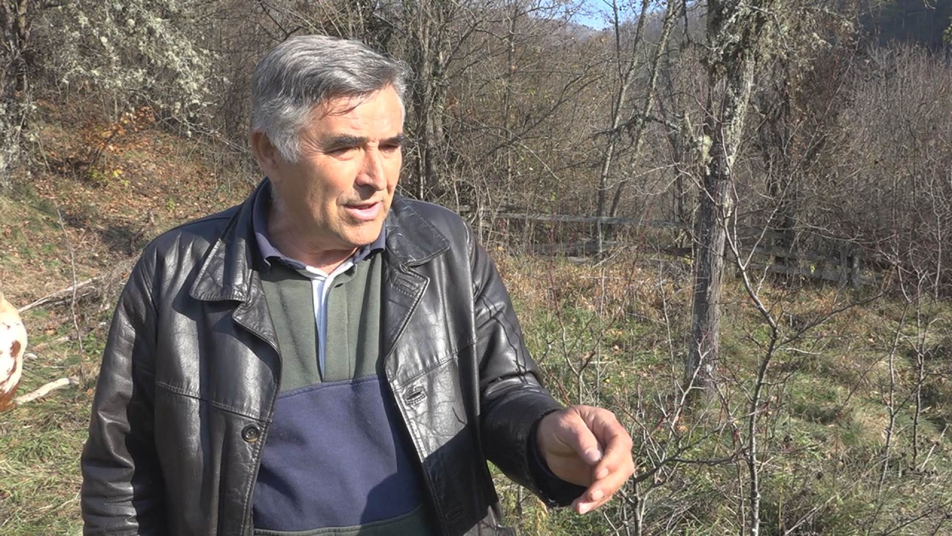 Ubijene životinje (1).jpg