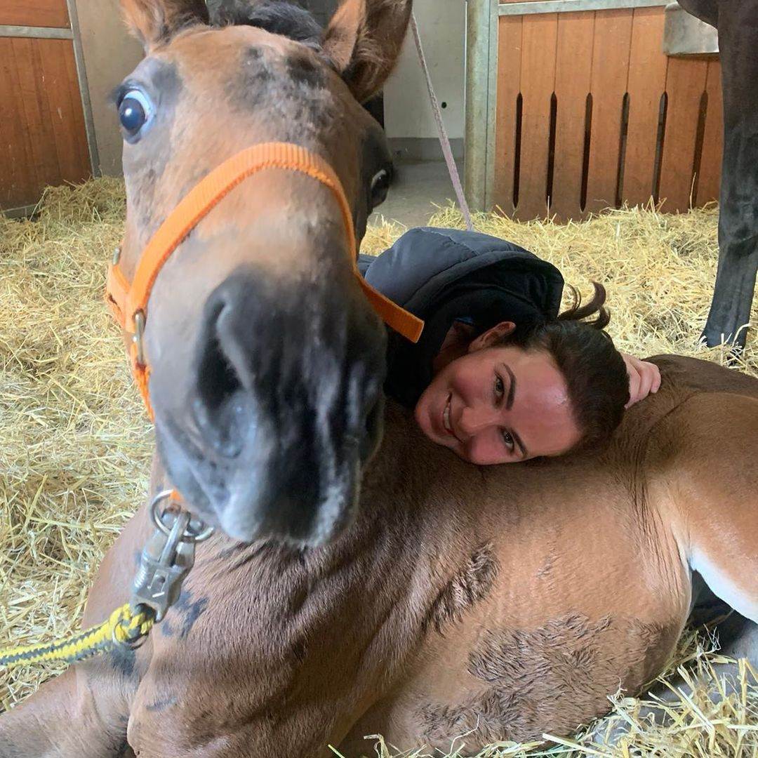 Tomas Miler zlostavlja konje zbog sperme