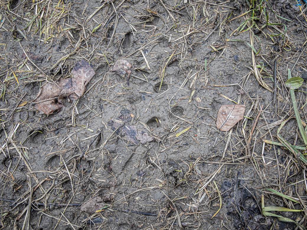 MONDO intervju Vojkan Rakić prvi trener Aleksandra Mitrovića