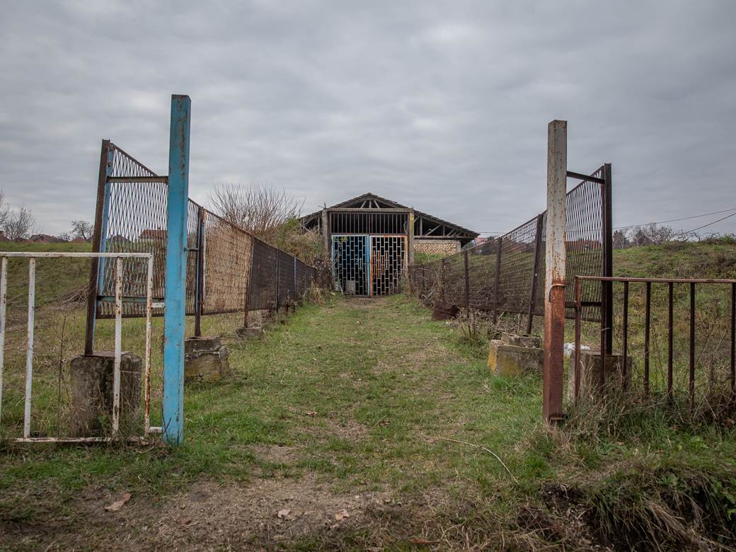 MONDO intervju Vojkan Rakić prvi trener Aleksandra Mitrovića