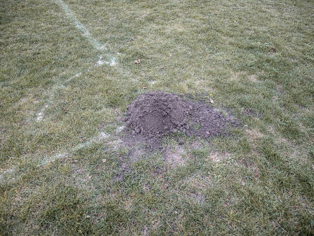 MONDO intervju Vojkan Rakić prvi trener Aleksandra Mitrovića