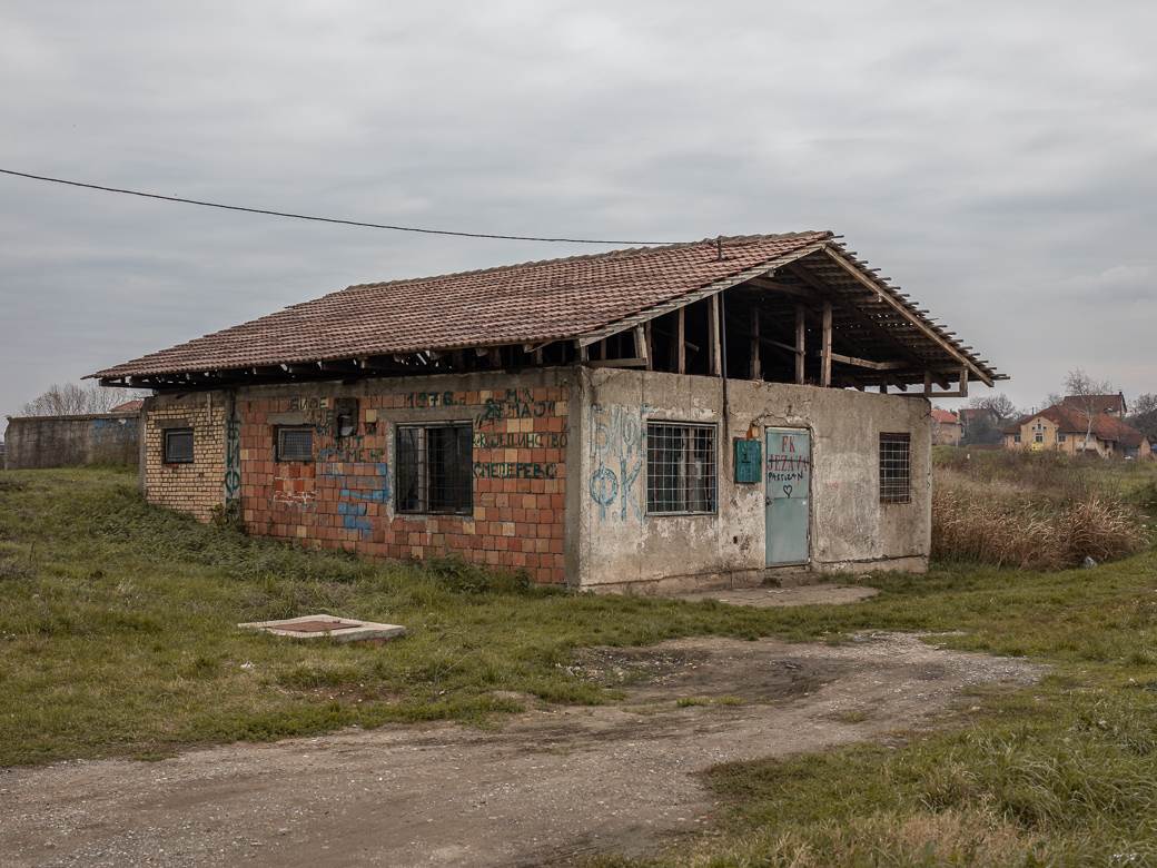 MONDO intervju Vojkan Rakić prvi trener Aleksandra Mitrovića