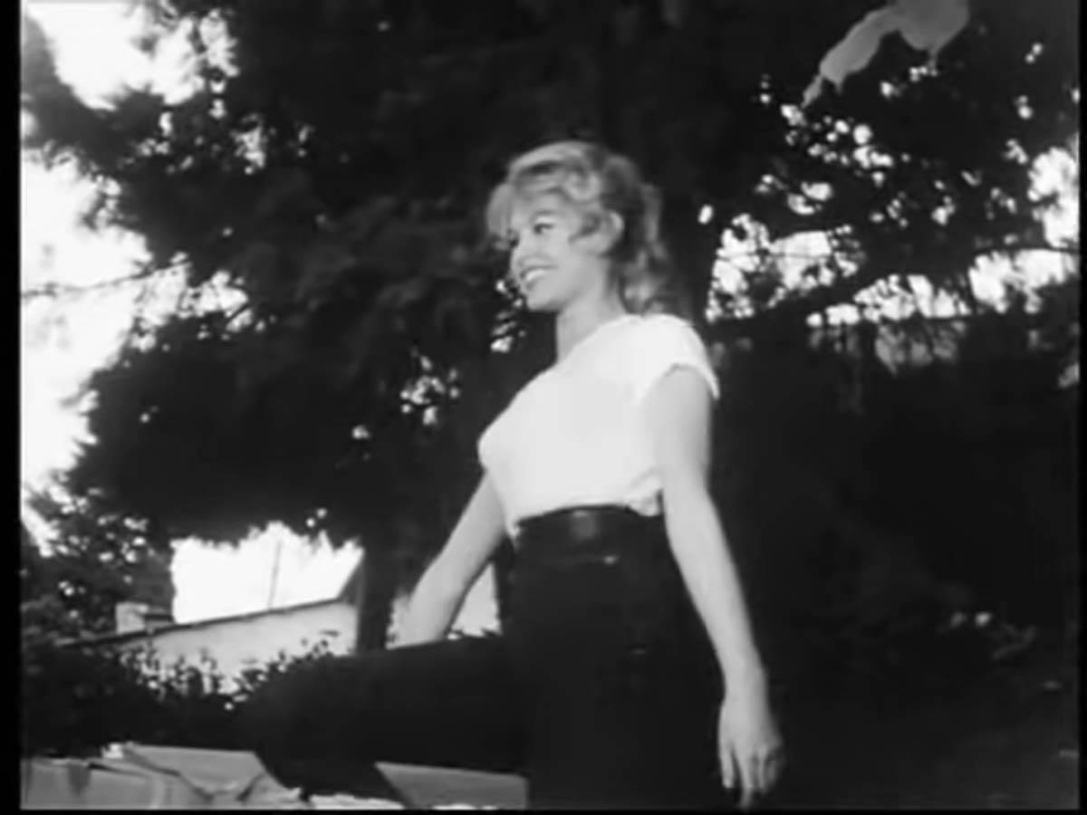 Brižit Bardo (5).jpg