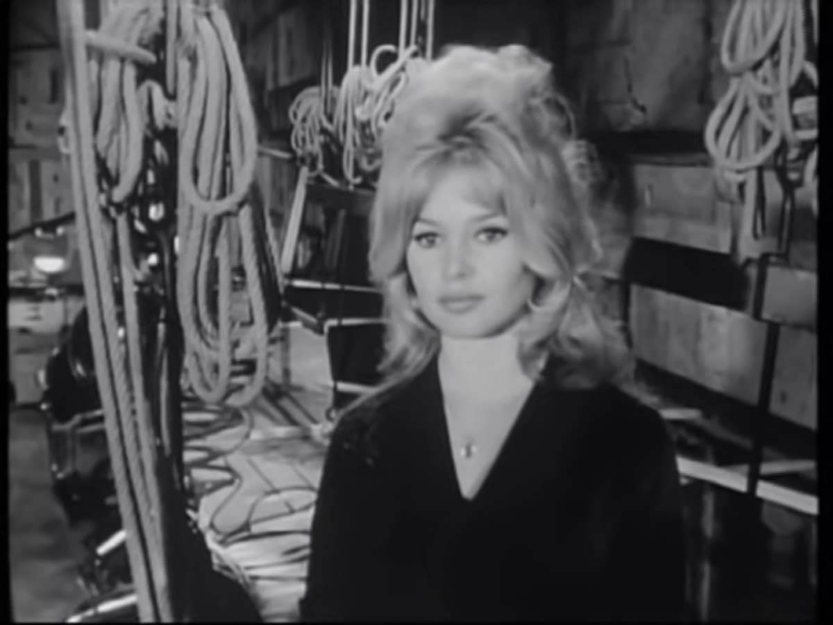 Brižit Bardo (8).jpg